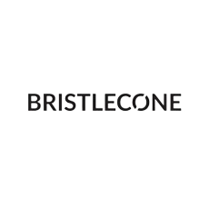 Bristlecone