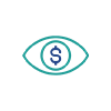 Lack of Financial Visibility